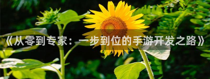 摩根娱乐挂机教程视频：《从零到专家：一步到位的手游开发之路》