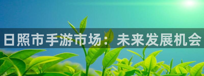 摩根娱乐app下载安装苹果：日照市手游市场：未来发展机会