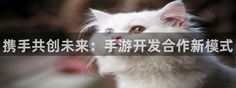 摩根娱乐娱乐官网入口下载：携手共创未来：手游开发合作新模式