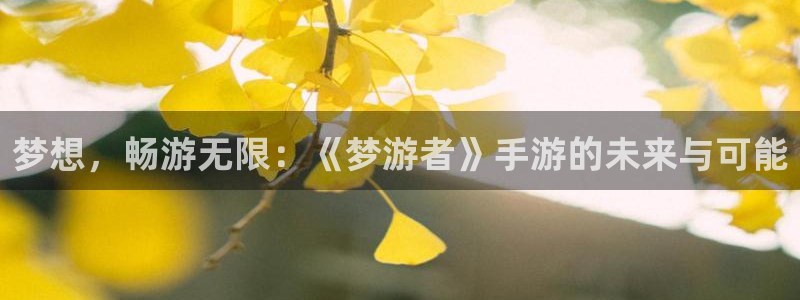 摩根娱乐娱乐官网入口：梦想，畅游无限：《梦游者》手游的未来与