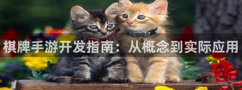 摩根娱乐是个什么平台啊多少钱：棋牌手游开发指南：从概念到实际