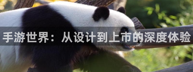 摩根娱乐网址：手游世界：从设计到上市的深度体验
