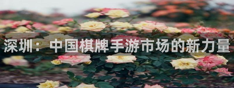 摩根娱乐这个平台怎么样啊：深圳：中国棋牌手游市场的新力量