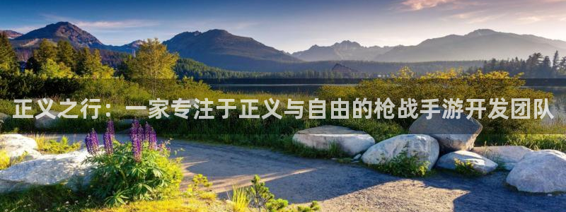 摩根娱乐下载：正义之行：一家专注于正义与自由的枪战手游开发团